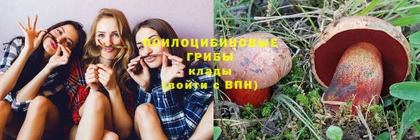 прущая мука Медвежьегорск