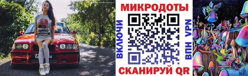 Псилоцибиновые грибы Psilocybe наркотики Шебекино